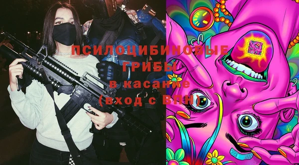 дурь Алзамай