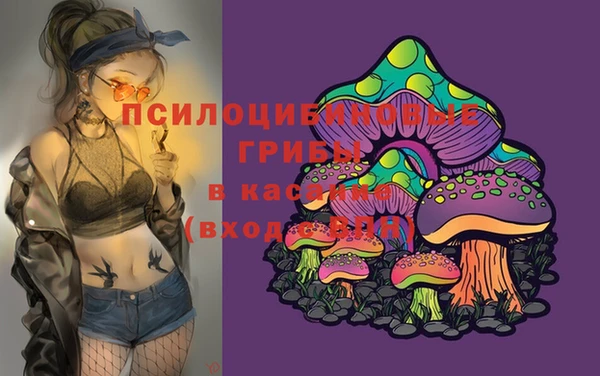 дурь Алзамай