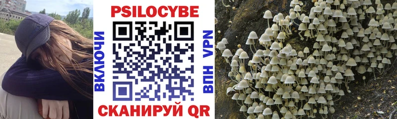 Псилоцибиновые грибы MAGIC MUSHROOMS  купить закладку  Киреевск 