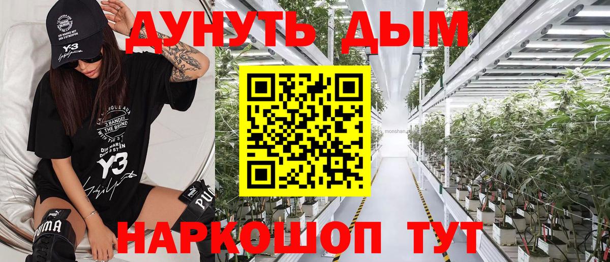 Шишки марихуана Amnesia Киреевск
